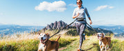 Hands Free Dog Leash with Pouch, Double Leash for Two Dogs, Retractable Bungee with Double Padded Handles, Dog harness