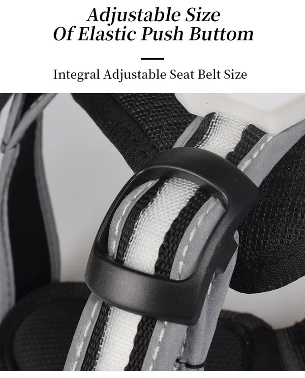 Adjustable LED Dog Harness, Rechargeable, Flashing, Waterproof, Night Anti-Lost, Light Harness, Luminous Dog Collar