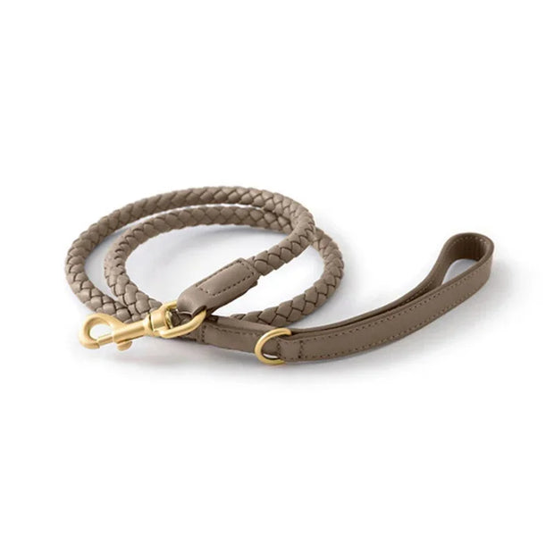 PU Leather Alloy Dog Collar Durable Fashion Knitted Traction Rope for Medium Dogs Outdoor Walking Accessories