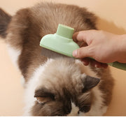 Go to Furless Pet Hair Brush for grooming dogs' hair and pet cats' fur. This is a special tool for cleaning long-haired pets.