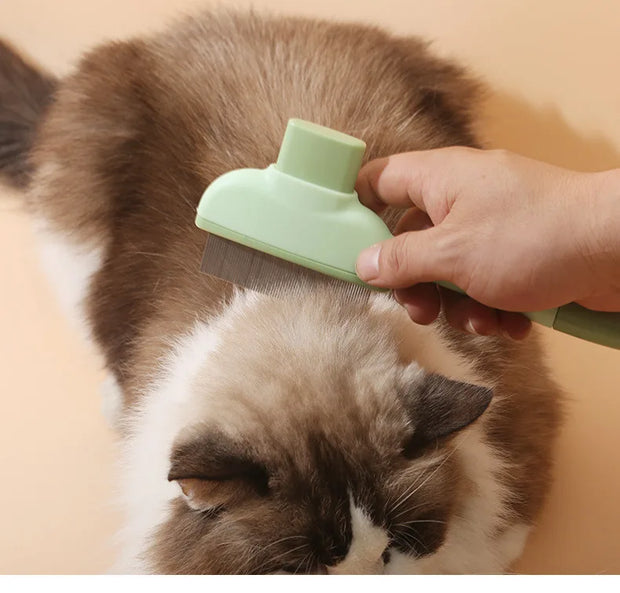 Go to Furless Pet Hair Brush for grooming dogs' hair and pet cats' fur. This is a special tool for cleaning long-haired pets.