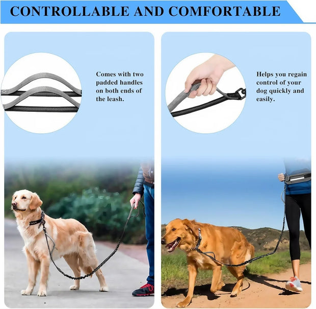 Hands Free Waist Leash for Dog Walking Running Hiking with Zipper Pouch, Adjustable Belt, Dual Padded Handles, Reflective Bungee