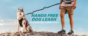 Hands Free Dog Leash with Pouch, Double Leash for Two Dogs, Retractable Bungee with Double Padded Handles, Dog harness