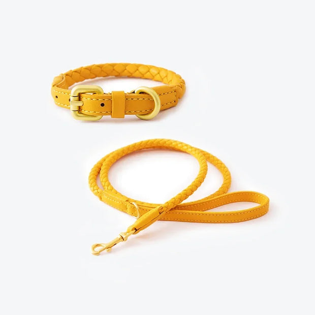 PU Leather Alloy Dog Collar Durable Fashion Knitted Traction Rope for Medium Dogs Outdoor Walking Accessories