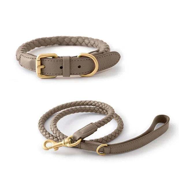 PU Leather Alloy Dog Collar Durable Fashion Knitted Traction Rope for Medium Dogs Outdoor Walking Accessories