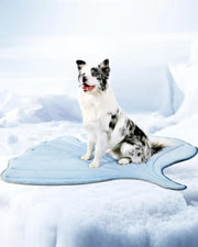Cool pet Mat Eco-friendly Cooling Pad for Large Dog Pet Cooling Mats for Dog bed & Cat house Use in Crate Tunk Camping Outdoor