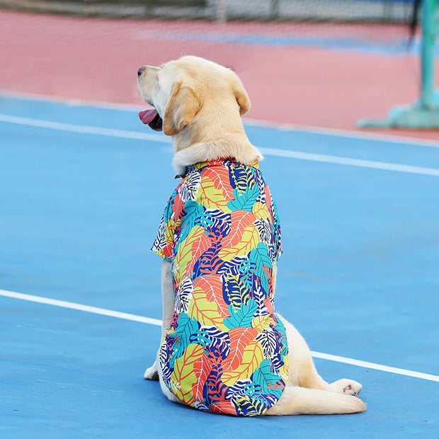 Pet Dog Clothes Puppy Vest T-shirt Shirt Cute Spring Pet Costume Roupas Para caes Bottoming Shirt Dog Costume Puppy Clothes